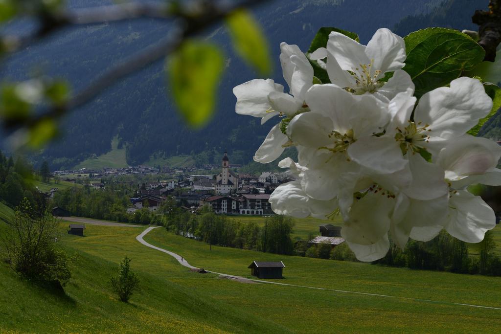 Haus Elisabeth Bed & Breakfast Neustift im Stubaital Exterior photo