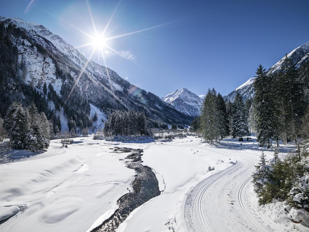 Haus Elisabeth Bed & Breakfast Neustift im Stubaital Exterior photo